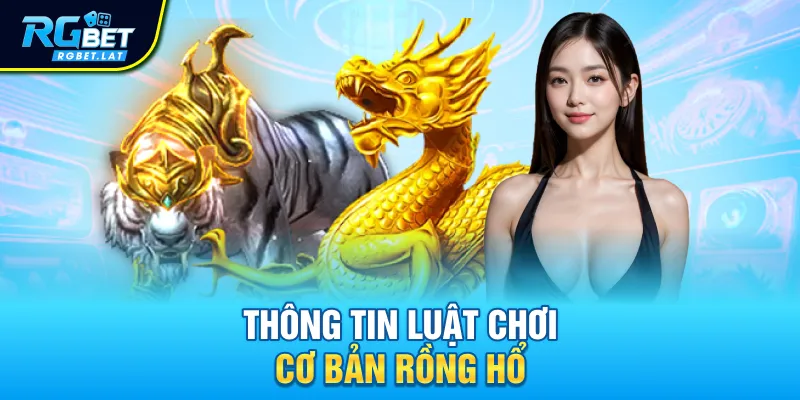 Thông tin luật chơi cơ bản Rồng Hổ